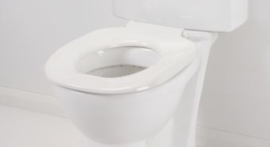 AKW White Ergonomic Toilet Seat Without Lid (23123)