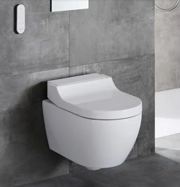 Geberit AquaClean Tuma Comfort Complete Set - White Plastic Back Plate (146290111)