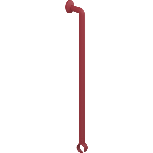 Pressalit PLUS Handrail Section 790mm with Wall Rosette and Strap Red RT332035