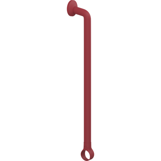 Pressalit PLUS Handrail Section 652mm with Wall Rosette and Strap Red RT331035