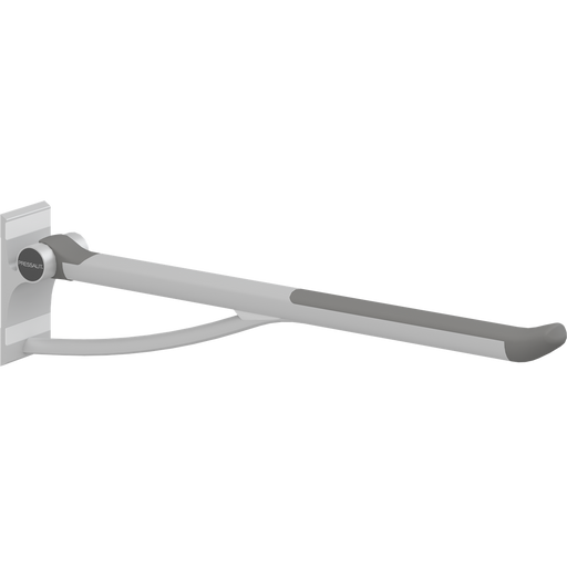 Pressalit PLUS Support Arm 850mm Fixed Height Anthracite R360085112