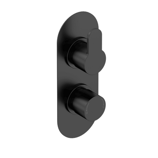 Nuie Arvan Twin Concealed Thermostatic Shower Valve with Diverter 2 Outlet Matt Black — ARV4TW02