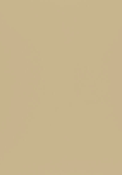 Selkie Allure Collection Golden Fudge Matte MDF Wet Wall Panel – Square Edge, 2420 x 1200 x 11mm