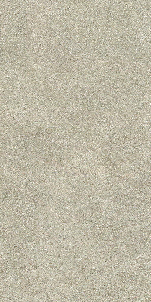 Kendall Light Grey Matt Porcelain Wall & Floor Tile 300x600mm