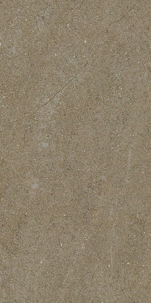 Kendall Taupe Matt Porcelain Wall & Floor Tile 300x600mm