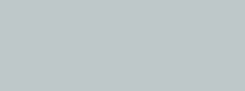 Leesburg Grey Gloss Ceramic Wall Tile 100x300mm