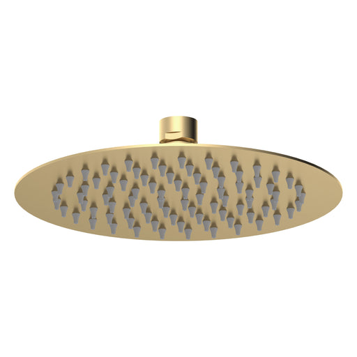 Nuie Brushed Brass Round Fixed Shower Head — A8082