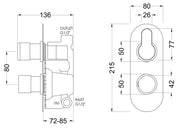 Nuie Arvan Twin Concealed Thermostatic Shower Valve (1 Outlet) Brushed Pewter (ARV7TW01) line drawing