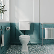 Nuie Carlton traditional low level toilet in a period style bathroom