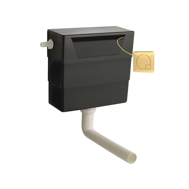 Nuie Concealed Cistern with Brushed Brass Contemporary Dual Flush Plate
