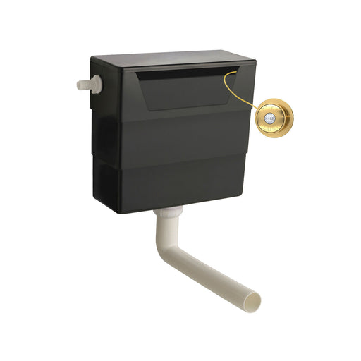 Nuie Concealed Cistern with Brushed Brass Traditional Dual Flush Plate