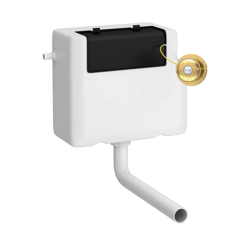 Nuie Concealed Cistern with Square Brushed Brass Traditional Dual Flush Plate Side Inlet
