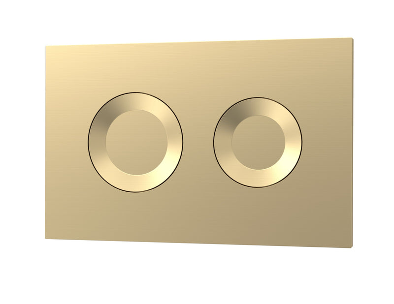 Nuie brushed brass round dual flush push button plate