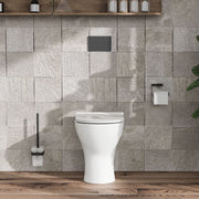 Nuie Freya round back to wall toilet pan in a contemporary bathroom