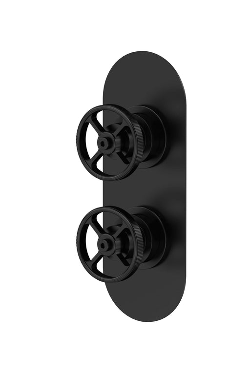 Nuie Industrial Dual Concealed Shower Valve with Diverter (2 Outlet) in Matt Black (SIWTW402)