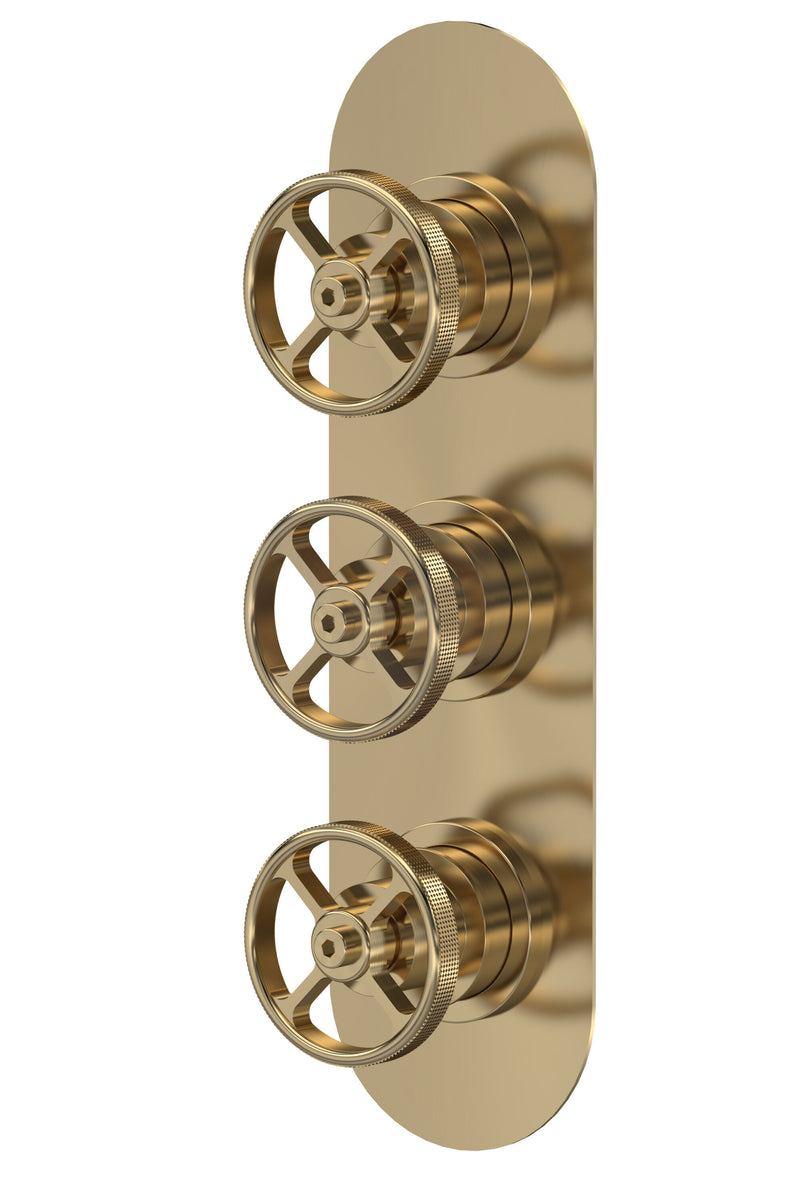 Nuie Industrial Triple Concealed Shower Valve (2 Outlet) in Brushed Brass (SIWTR802)
