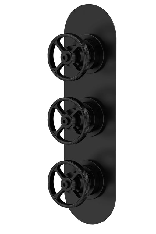 Nuie Industrial Triple Concealed Shower Valve (2 Outlet) in Matt Black (SIWTR402)