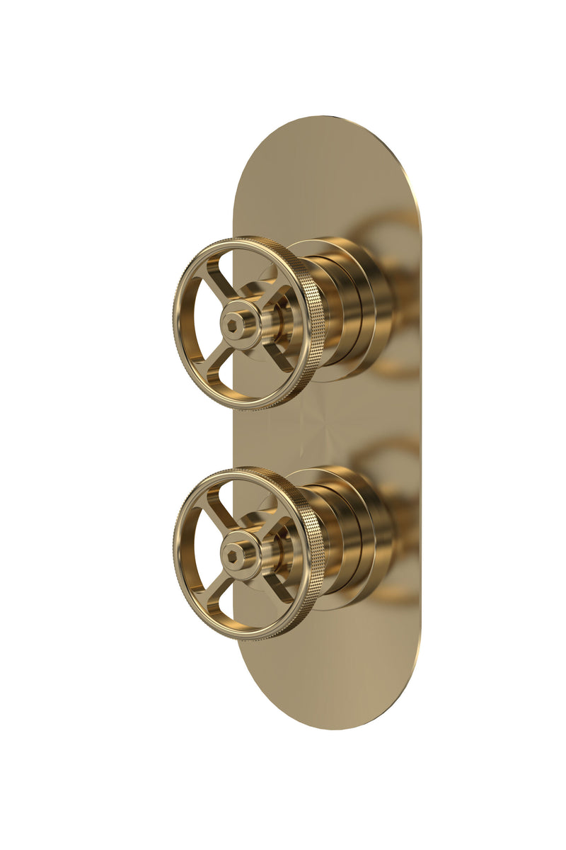 Nuie Industrial Twin Concealed Shower Valve (1 Outlet) in Brushed Brass (SIWTW801)