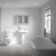 Nuie Legend traditional close coupled toilet lifestyle view