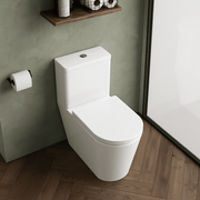 Nuie Orlen close coupled toilet lifestyle view