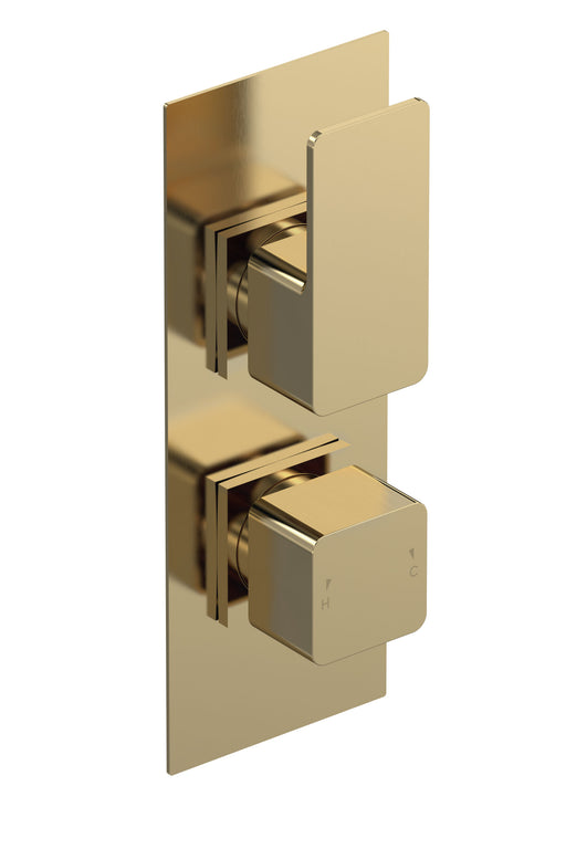Nuie Windon Twin Concealed Thermostatic Shower Valve (1 Outlet) Brushed Brass (WIN8TW01)