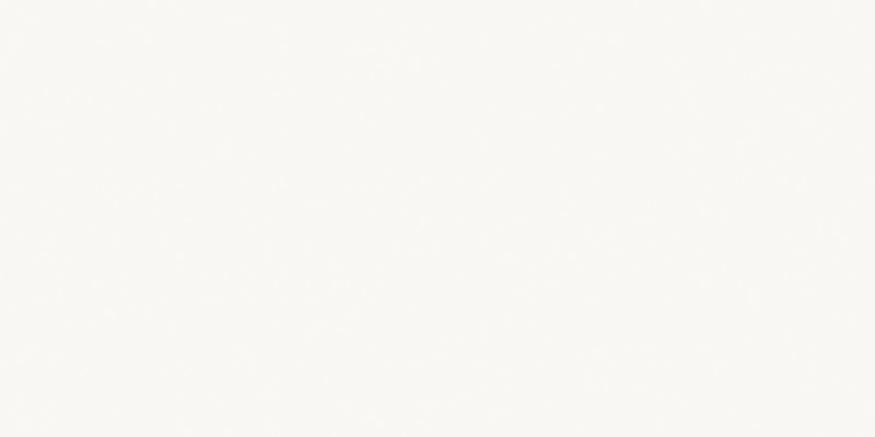Palmetto White Plain Matt Ceramic Wall Tile 300x600mm