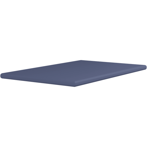 Pressalit changing table mattress 680 x 1100mm in navy blue for CT 5000 change table (R8481378)