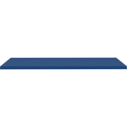 Pressalit Daycare Changing Table Mattress, 760 × 1350mm, Navy Blue (R8705378)