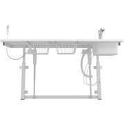 Pressalit Daycare Changing Table, Electric, 800 × 1800mm, with Sink & Pull-Out Spout Mixer Tap (R8733000)