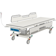 Pressalit MCT 2 Change Trolley, 700 × 2100mm, Two Fold-Down Sides, Electrically Height-Adjustable (Battery), White (R9452721000)
