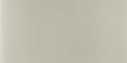 Tarpon Light Grey Handmade Effect Gloss Ceramic Wall Tile 70x140mm
