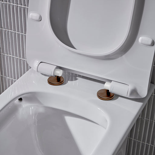 Tavistock Toilet Seat Cover Cap Upgrade - Brushed Bronze