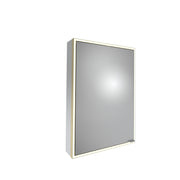 Tavistock Portrait 500mm Single Door Mirror Cabinet - Brushed Brass