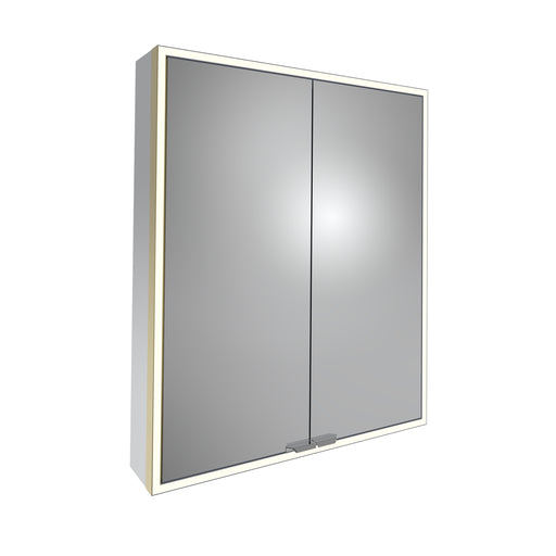 Tavistock Portrait 600mm Double Door Mirror Cabinet - Brushed Brass