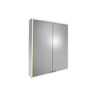 Tavistock Portrait 600mm Double Door Mirror Cabinet - Brushed Brass