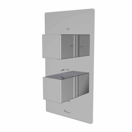 Tavistock Index Dual Function Concealed Shower Valve - Chrome