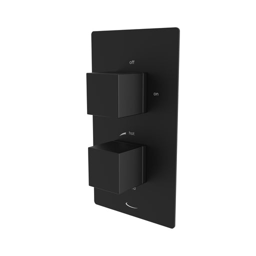 Tavistock Index Dual Function Concealed Shower Valve - Black