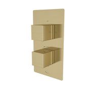 Tavistock Index Dual Function Concealed Shower Valve - Brushed Brass