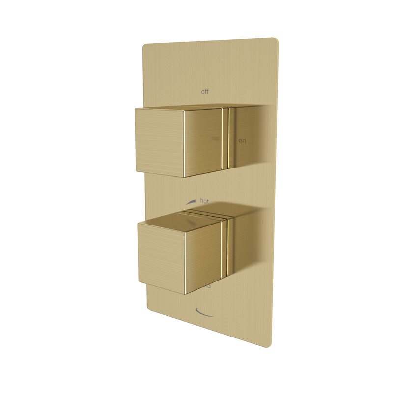 Tavistock Index Dual Function Concealed Shower Valve - Brushed Brass