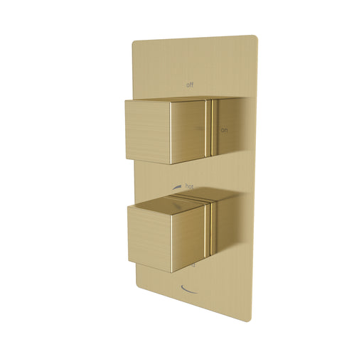 Tavistock Index Dual Function Concealed Shower Valve - Brushed Brass