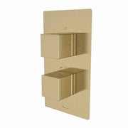 Tavistock Index Dual Function Concealed Shower Valve - Brushed Brass