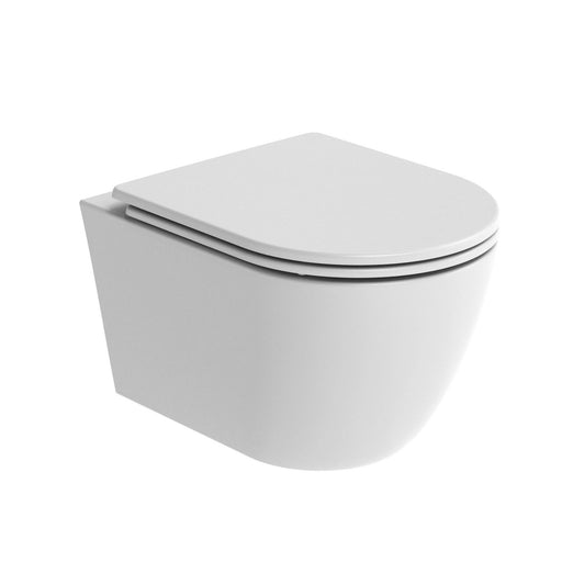 Tavistock Cadence Round Wall Hung WC - Pan