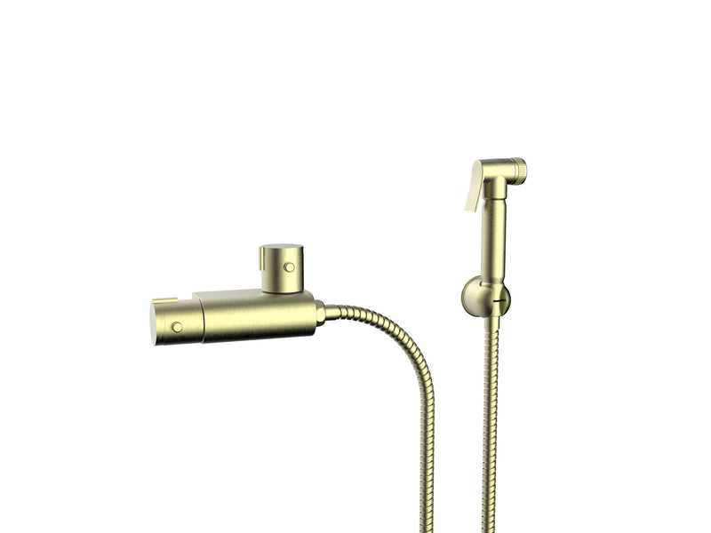 The White Space Douche Spray Kit with Thermostatic Mixer Valve – Brushed Brass