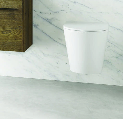The White Space Lab Rimless Back to Wall WC